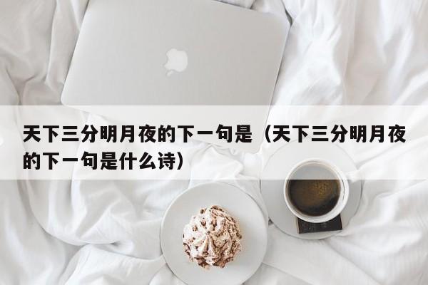 天下三分明月夜的下一句是（天下三分明月夜的下一句是什么诗）