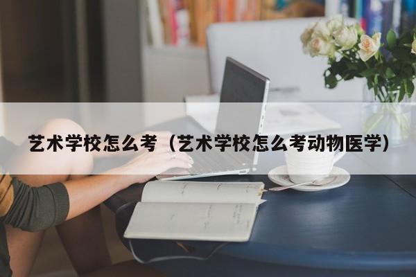 艺术学校怎么考（艺术学校怎么考动物医学）