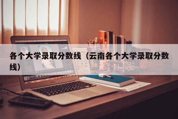 各个大学录取分数线（云南各个大学录取分数线）