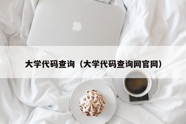 大学代码查询（大学代码查询网官网）