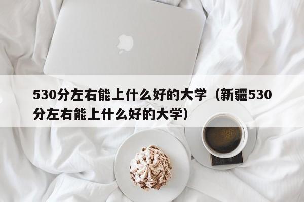 530分左右能上什么好的大学（新疆530分左右能上什么好的大学）