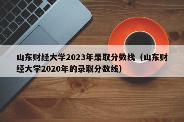 山东财经大学2023年录取分数线（山东财经大学2020年的录取分数线）