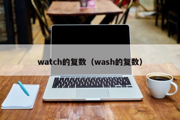 watch的复数（wash的复数）