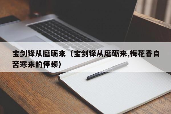 宝剑锋从磨砺来（宝剑锋从磨砺来,梅花香自苦寒来的停顿）