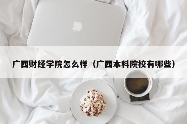 广西财经学院怎么样（广西本科院校有哪些）