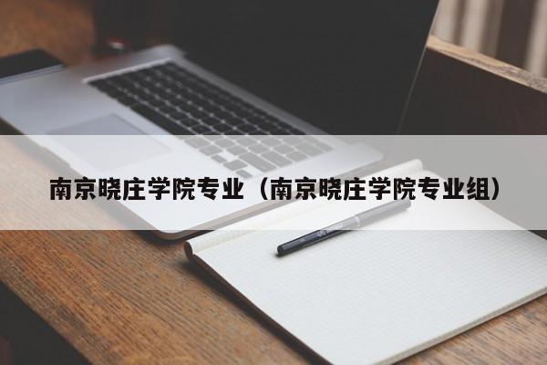 南京晓庄学院专业（南京晓庄学院专业组）