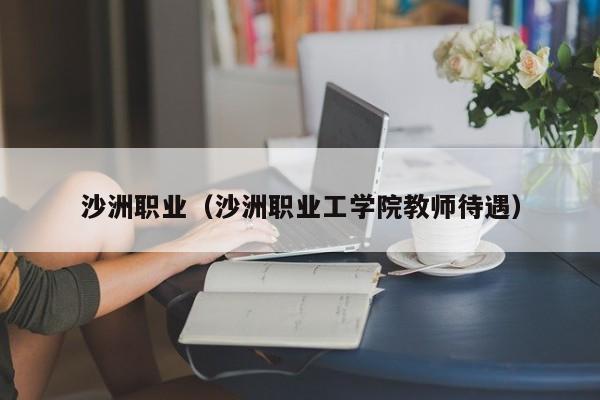 沙洲职业（沙洲职业工学院教师待遇）