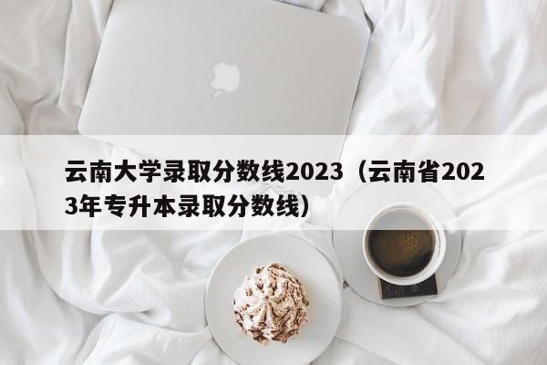 云南大学录取分数线2023（云南省2023年专升本录取分数线）