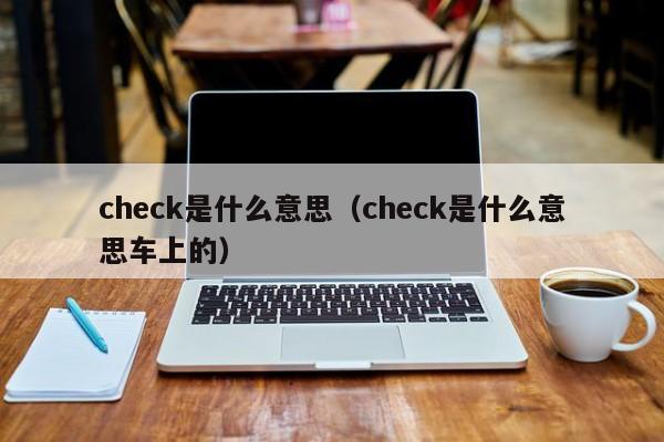 check是什么意思（check是什么意思车上的）