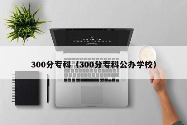 300分专科（300分专科公办学校）