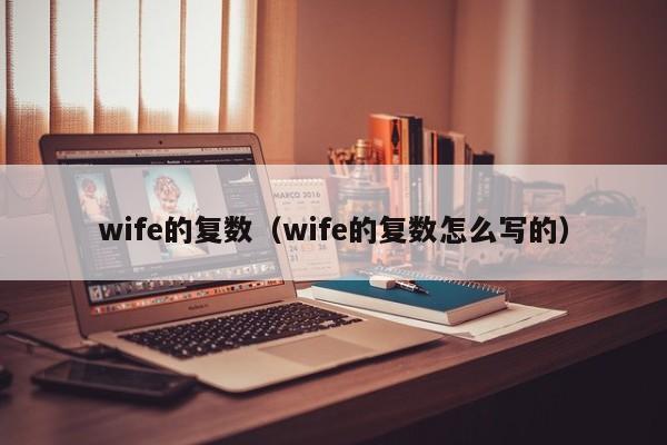 wife的复数（wife的复数怎么写的）