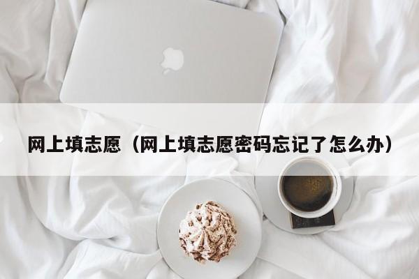 网上填志愿（网上填志愿密码忘记了怎么办）