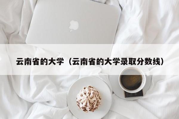 云南省的大学（云南省的大学录取分数线）