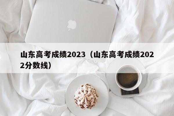 山东高考成绩2023（山东高考成绩2022分数线）