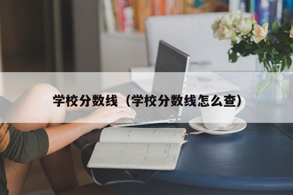 学校分数线（学校分数线怎么查）