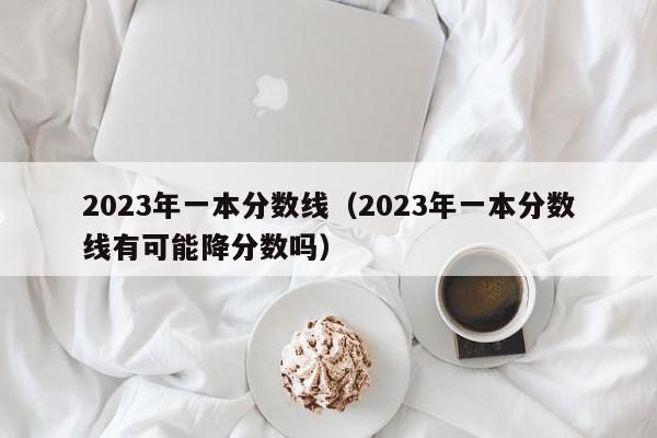 2023年一本分数线（2023年一本分数线有可能降分数吗）