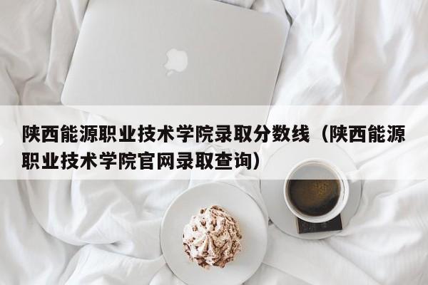 陕西能源职业技术学院录取分数线（陕西能源职业技术学院官网录取查询）