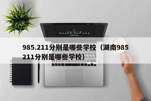 985.211分别是哪些学校（湖南985211分别是哪些学校）