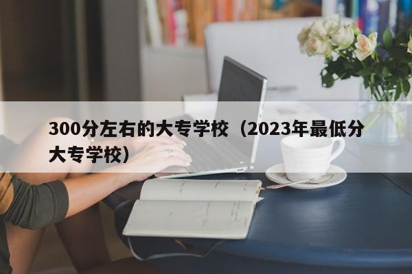 300分左右的大专学校（2023年最低分大专学校）