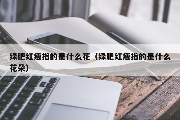 绿肥红瘦指的是什么花（绿肥红瘦指的是什么花朵）