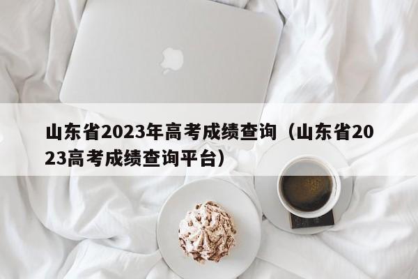 山东省2023年高考成绩查询（山东省2023高考成绩查询平台）