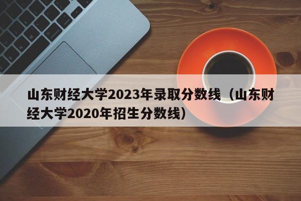 山东财经大学2023年录取分数线（山东财经大学2020年招生分数线）