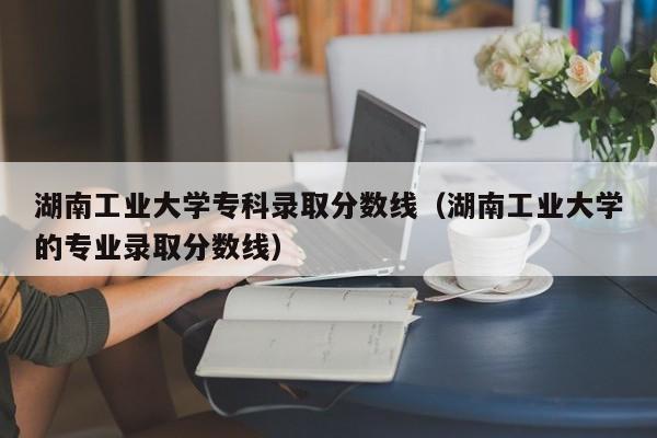 湖南工业大学专科录取分数线（湖南工业大学的专业录取分数线）