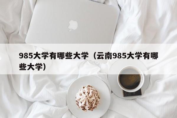 985大学有哪些大学（云南985大学有哪些大学）