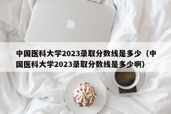 中国医科大学2023录取分数线是多少（中国医科大学2023录取分数线是多少啊）