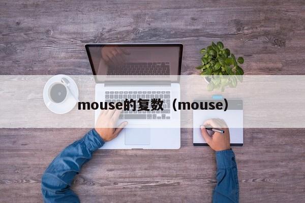 mouse的复数（mouse）