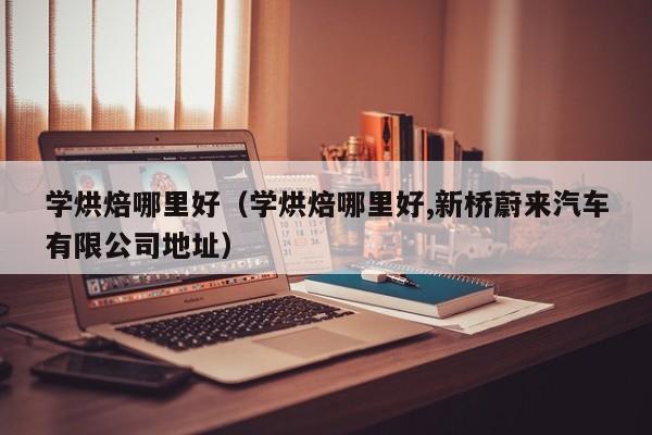 学烘焙哪里好（学烘焙哪里好,新桥蔚来汽车有限公司地址）