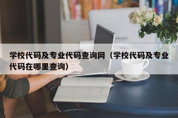 学校代码及专业代码查询网（学校代码及专业代码在哪里查询）