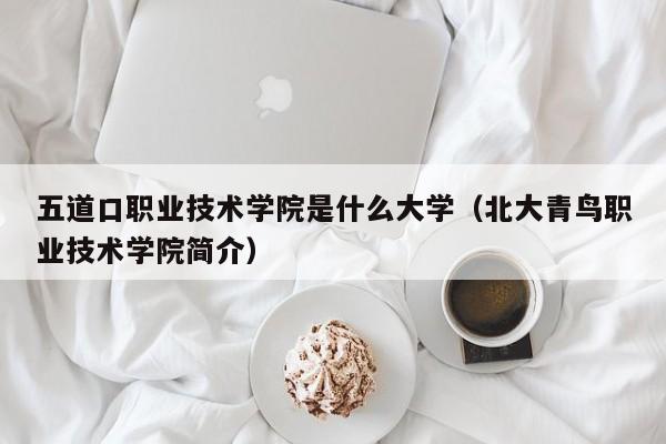 五道口职业技术学院是什么大学（北大青鸟职业技术学院简介）