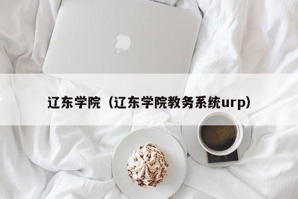 辽东学院（辽东学院教务系统urp）