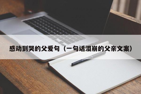 感动到哭的父爱句（一句话泪崩的父亲文案）