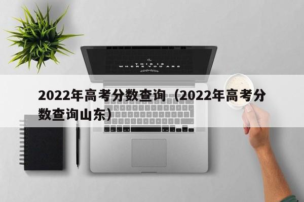 2022年高考分数查询（2022年高考分数查询山东）