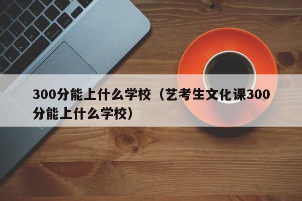 300分能上什么学校（艺考生文化课300分能上什么学校）