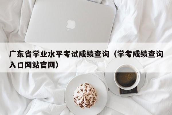 广东省学业水平考试成绩查询（学考成绩查询入口网站官网）