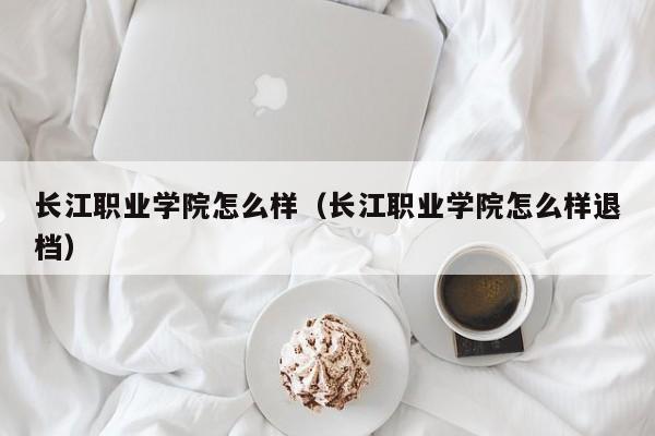 长江职业学院怎么样（长江职业学院怎么样退档）