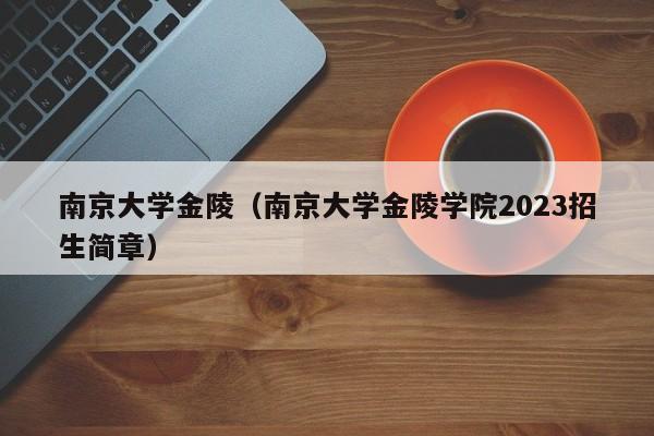 南京大学金陵（南京大学金陵学院2023招生简章）