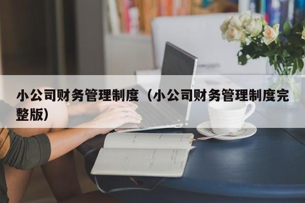 小公司财务管理制度（小公司财务管理制度完整版）