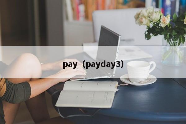 pay（payday3）