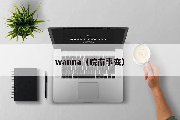 wanna（皖南事变）