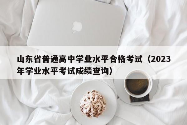 山东省普通高中学业水平合格考试（2023年学业水平考试成绩查询）