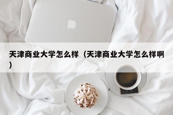 天津商业大学怎么样（天津商业大学怎么样啊）