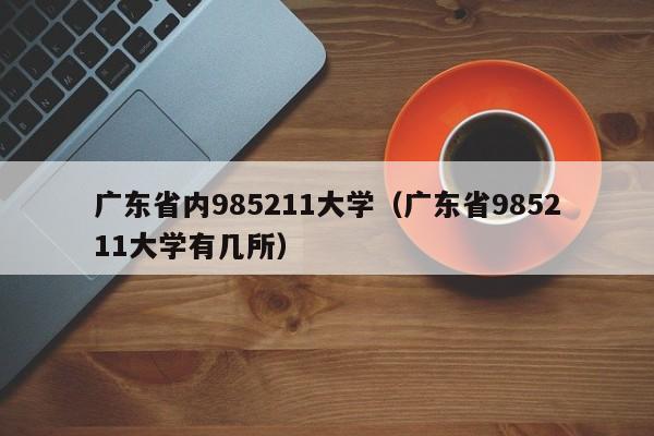 广东省内985211大学（广东省985211大学有几所）