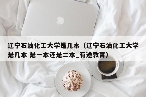 辽宁石油化工大学是几本（辽宁石油化工大学是几本 是一本还是二本_有途教育）