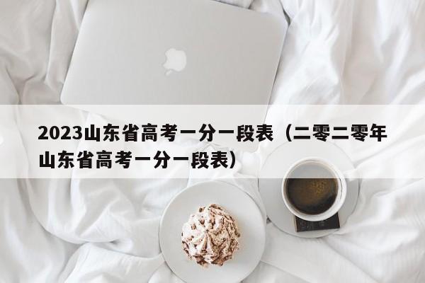 2023山东省高考一分一段表（二零二零年山东省高考一分一段表）