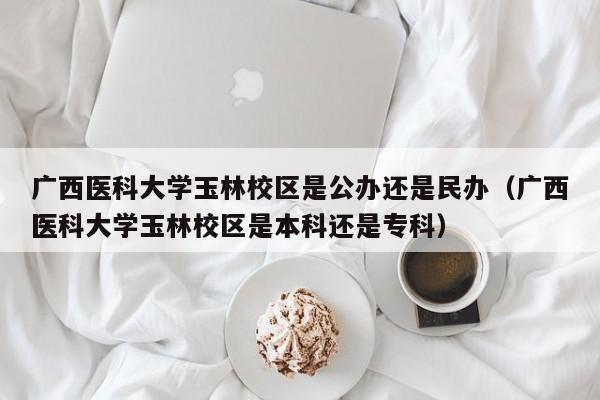 广西医科大学玉林校区是公办还是民办（广西医科大学玉林校区是本科还是专科）