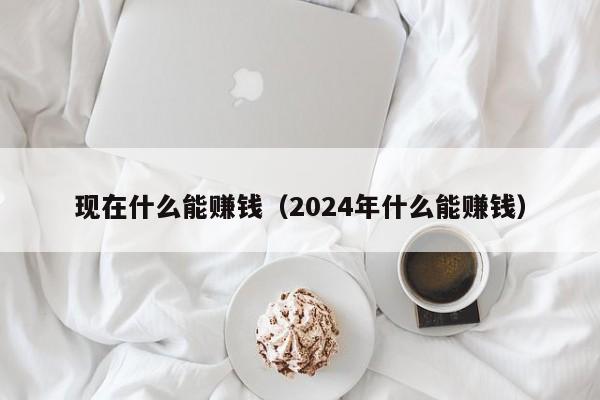 现在什么能赚钱（2024年什么能赚钱）